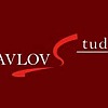 Pavlov Studio 